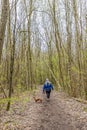 Hiking trail with woman walking with her brown dachshund among bare trees, back to camera Royalty Free Stock Photo