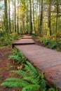 Hiking Trail Wood Walkway in Lynn Canyon Park in Vancouver BC Canada