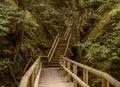 Hiking Trail with wooden handrails in forest