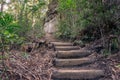 Hiking trail with wooden log staircase, steps Royalty Free Stock Photo