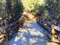 Hiking trail wooden river bridge shade trees hillside mountain climb sunny afternoon hike