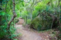 Hiking trail with wooden stairs, Mount Manaia.