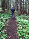 Hiking a trail through the woods n Oregon