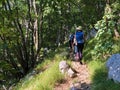 Hiking trails, forest paths and bicycle roads in the Ucka Nature Park, Croatia - Planinarske staze i ÃÂ¡umski putev