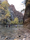 Hiking Up The Narrows