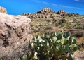 Rockhound State Park near Deming, New Mexico