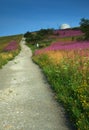 Hiking up the track