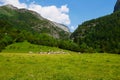 Hiking in the valle de bujaruelo Royalty Free Stock Photo