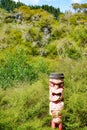 Hiking views on a walk in new Zealand