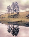 Hiking the Wainwright Outlying Fells in the Lake District From windermere