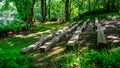 The Outdoor Benches At Tolmie State Park, Olympia, Washington, USA Royalty Free Stock Photo