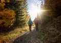 hiking walking nature trail path park hike autumn morning hikers walk exercise Royalty Free Stock Photo