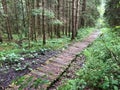 Hiking and walking trails in the Sihltal valley and by the artificial lake Sihlsee, Studen - Canton of Schwyz, Switzerland