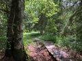 Hiking and walking trails in the Sihltal valley and by the artificial lake Sihlsee, Studen - Canton of Schwyz, Switzerland