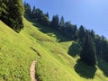 Hiking and walking trails on the slopes of the Buochserhorn mountain and by the lake Lucerne or Vierwaldstaetersee lake