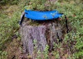 Hiking waterproof small mat for sitting with adjustable fastening, on a stump, in a camp. Convenient travel accessory.