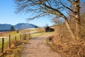 Hiking way Murnau moorlands, with wooden huts, sunny day at early springtime, upper bavaria
