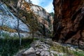 The flowing Virgin River in the Narrows in the canyons of Zion.