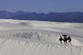 Hiking in White Sands New Mexico Royalty Free Stock Photo