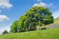 Hiking on Wild Boar Fell and Swarth Fell in the Yorkshire Dales