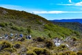 Hiking the wilderness trails of Cradle Mountain, Tasmania