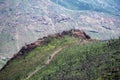 Hikers Walk Through Burn Area