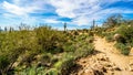 Hiking on the Wind Cave Trail of Usery Mountain surrounded by Large Boulders, Saguaro and other Cacti