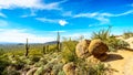 Hiking on the Wind Cave Trail of Usery Mountain surrounded by Large Boulders, Saguaro and other Cacti Royalty Free Stock Photo