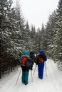 Hiking in winter mountains. Group of trekkers on snowy trail in winter forest Royalty Free Stock Photo