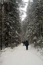 Hiking in winter mountains. Group of trekkers on snowy trail in winter forest Royalty Free Stock Photo