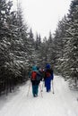 Hiking in winter mountains. Group of trekkers on snowy trail in winter forest Royalty Free Stock Photo