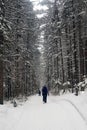 Hiking in winter mountains. Trekker on snowy trail in winter forest Royalty Free Stock Photo