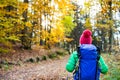 Hiking woman with backpack looking at inspirational autumn golden woods Royalty Free Stock Photo