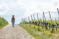 Hiking Woman with brown hair, straw hat and backpack hiking next to a wine field