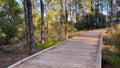 Hiking on a wooden boardwalk