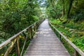 Hiking wooden passage or path