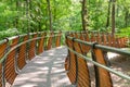 Hiking woods path summer green forest landscape background. Walking footpath or biking path. Sustainable Lifestyle