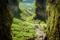 Hiking in the Yorkshire Dales in the summer