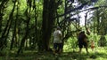 Hiking young woman and two boys walking together on the trail with backpack. Creative. Green beautiful vegetation and Royalty Free Stock Photo