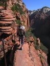 hiking in zion Royalty Free Stock Photo
