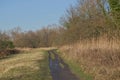 hikint trail through a sunny marsh landscape in the fle ish countryside