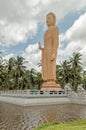 Hikkaduwa, a Giant Sculpture Of A Standing Buddha Equal In Height