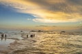 Tourist is walking along Turtle Beach during sunset, Hikkaduwa