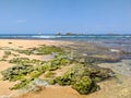Hikkaduwa, Sri Lanka - March 8, 2022: Beautiful azure water of the Indian Ocean near the coral reef of Hikkaduwa beach. Stones and Royalty Free Stock Photo
