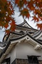Hikone Castle autumn