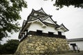 Hikone castle framed by leaves Royalty Free Stock Photo