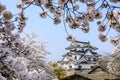 Hikone Castle