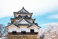 Hikone castle with spring cherry blossoms in Shiga, Japan Royalty Free Stock Photo