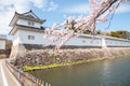 Hikone castle with spring cherry blossoms in Shiga, Japan Royalty Free Stock Photo