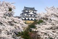 Hikone Castle in the Spring